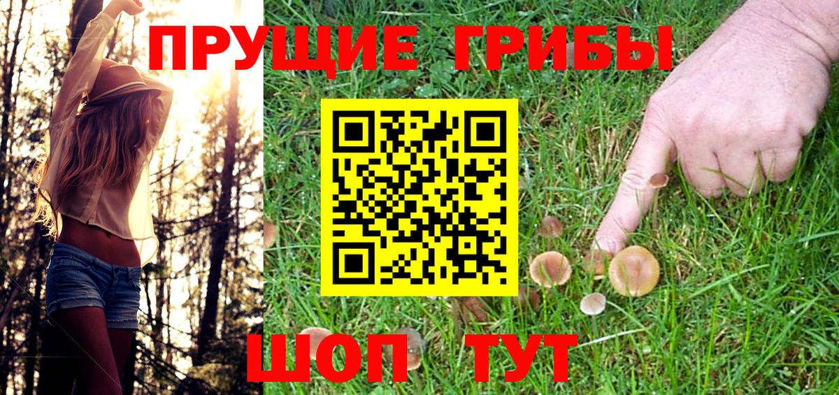 Галлюциногенные грибы Cubensis Шелехов