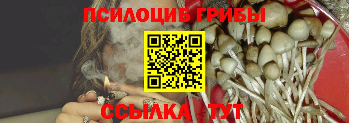 Шелехов  Галлюциногенные грибы мицелий  Вход с VPN 